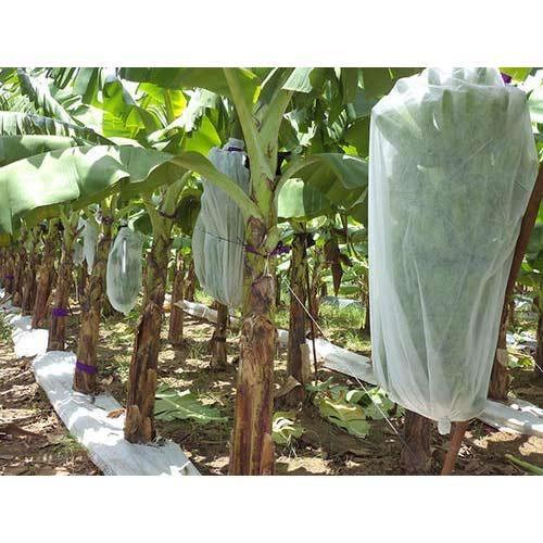 non woven fabric for agriculture